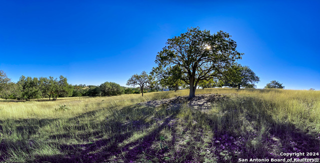 Image 8 of 21 For Lot 155 Loma Vista Ranch