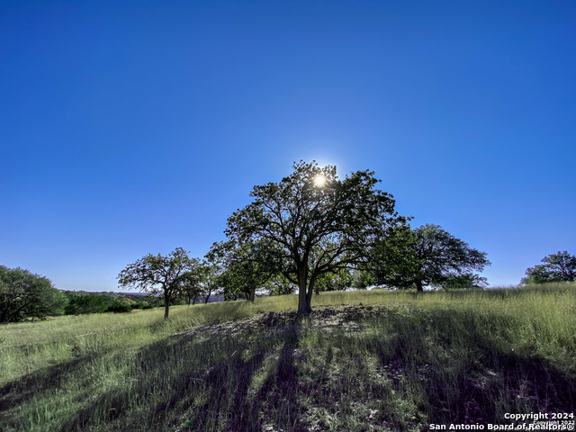 Image 9 of 21 For Lot 155 Loma Vista Ranch