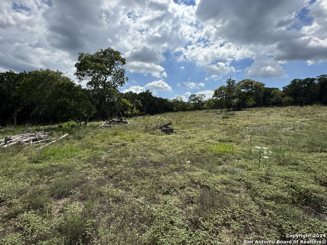 Image 9 of 30 For 355 Private Road 1709