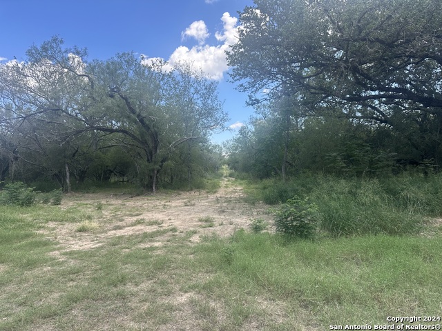 Details for 20588 State Highway 16 S, Atascosa, TX 78002