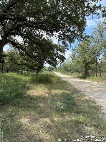 20594 State Highway 16 S