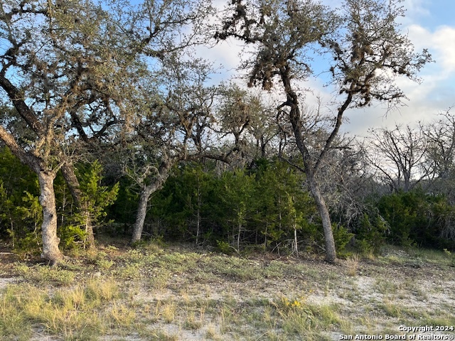 Details for 000 Leinweber Dr., Leakey, TX 78873