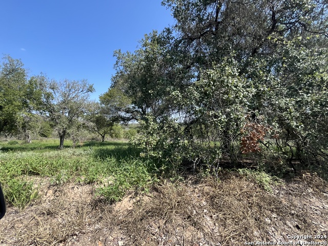 Details for Lot D 497 County Rd 124, Floresville, TX 78114