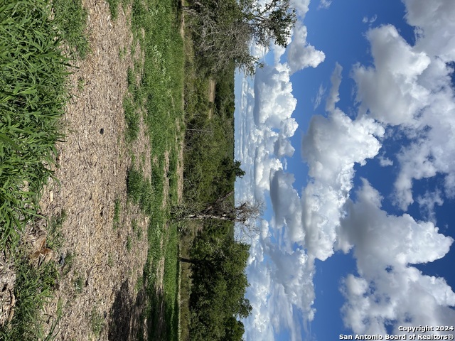 Image 16 of 19 For Lot D 497 County Rd 124