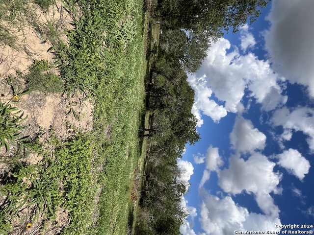 Image 8 of 19 For Lot D 497 County Rd 124