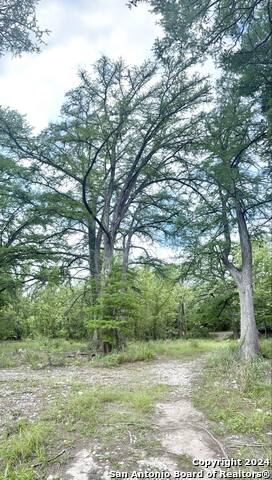 Image 59 of 77 For 29 Lonesome Dove