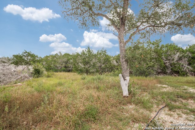 Image 6 of 15 For 175 County Road 2758