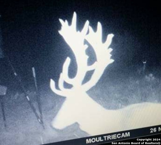 Listing photo id 7 for 0 Sd 80300  