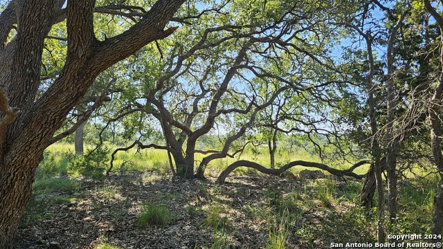 Image 16 of 37 For Lot 357 Palomino Spgs