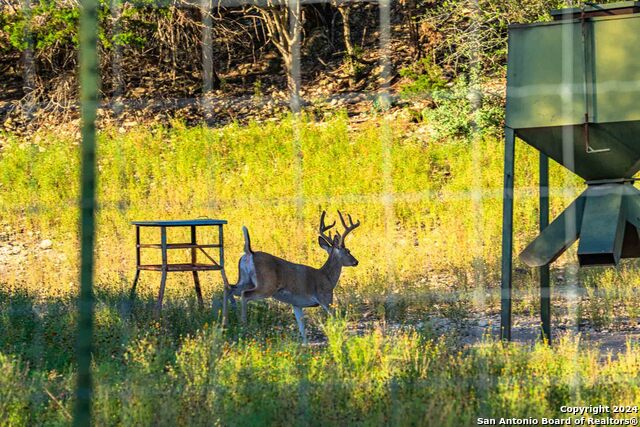 Image 49 of 90 For 161 Flach Rd E