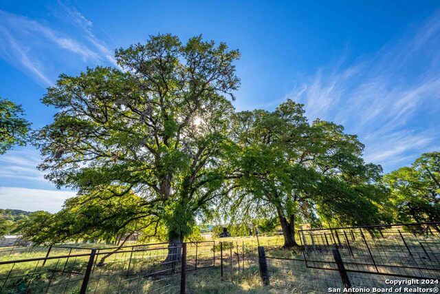 Image 80 of 90 For 161 Flach Rd E