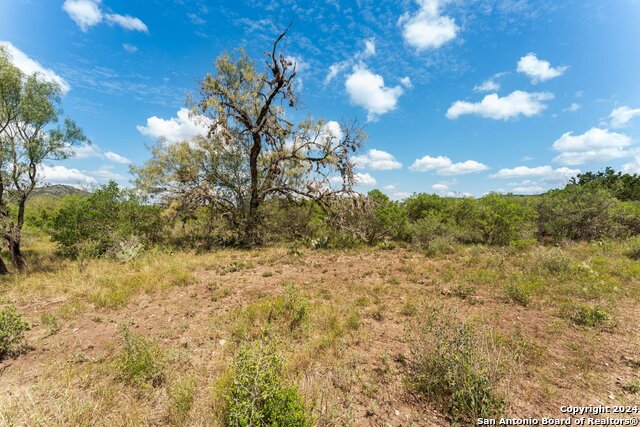 Image 6 of 43 For 831 County Road 350