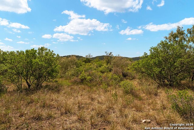 Image 8 of 43 For 831 County Road 350