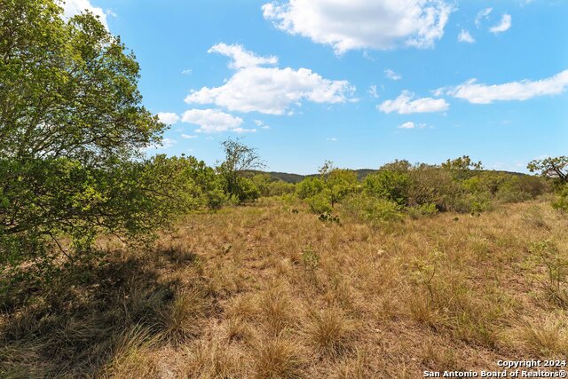 Image 9 of 43 For 831 County Road 350