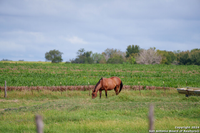 Image 39 of 42 For 4680 Dreibrodt Road