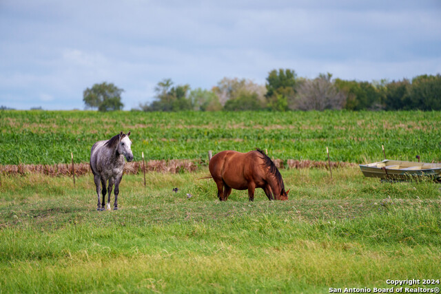 Image 40 of 42 For 4680 Dreibrodt Road