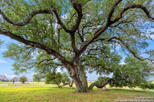 Image 4 of 42 For 4680 Dreibrodt Road