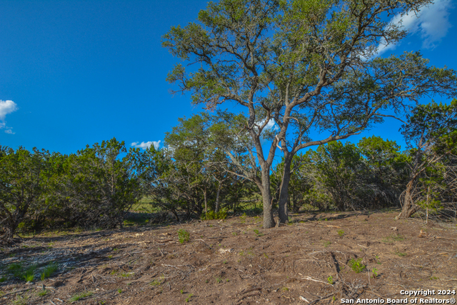 Image 14 of 32 For Tba Cr 140  