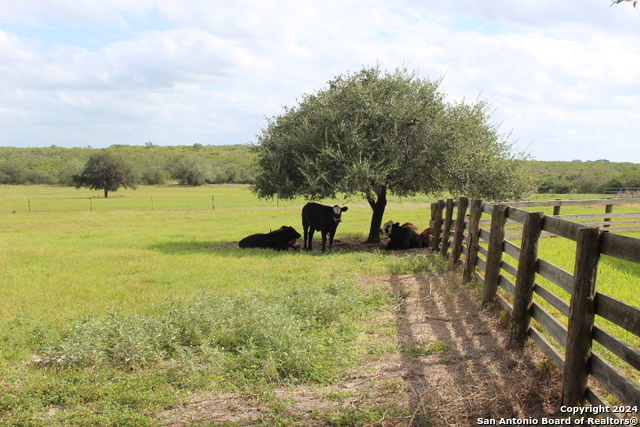 Image 8 of 54 For 2217 County Road 125