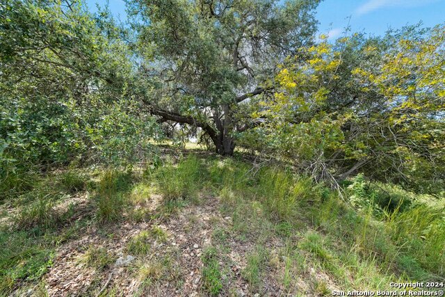 Image 13 of 20 For Lot 22 N Scenic Hills Ct