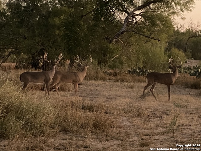 Image 24 of 50 For Tbd K Bar Ranch Road S