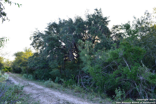 Image 8 of 50 For Tbd K Bar Ranch Road S