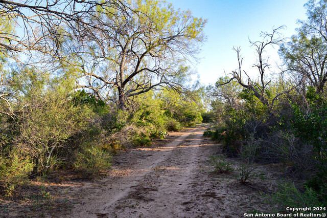 Image 9 of 50 For Tbd K Bar Ranch Road S