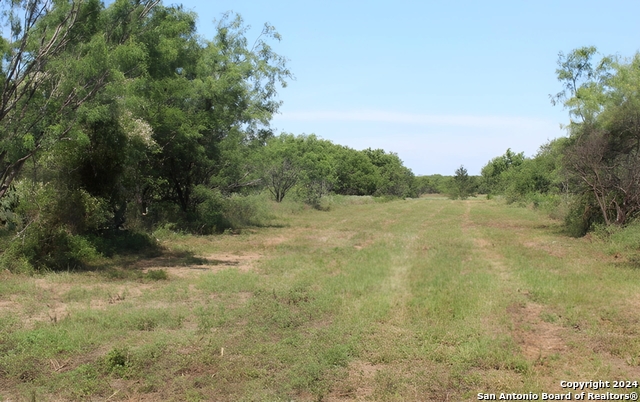 Details for 1826 County Road 2537, Moore, TX 78057