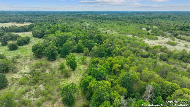 Details for 689 Chamberlin Road, Dale, TX 78616