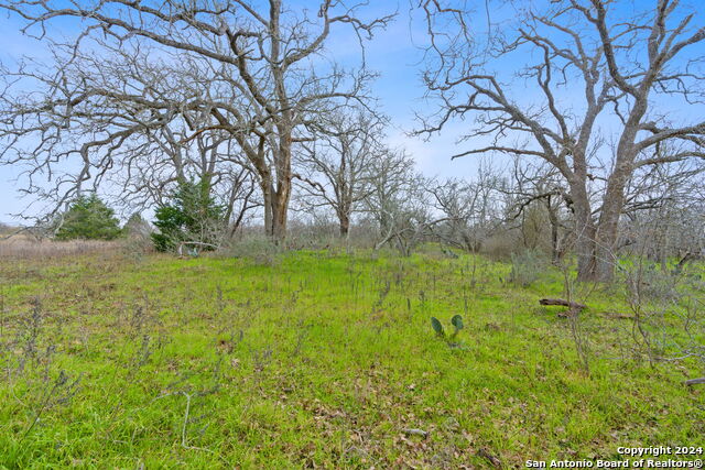 Details for Lot 9 Tumbleweed Trail, Dale, TX 78616