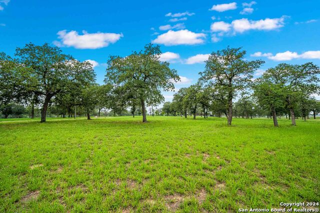 Image 67 of 99 For 183 Teton Lane