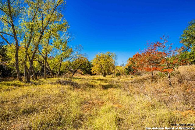 Image 92 of 99 For 183 Teton Lane