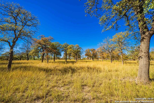 Image 95 of 99 For 183 Teton Lane