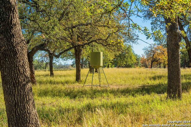 Image 97 of 99 For 183 Teton Lane