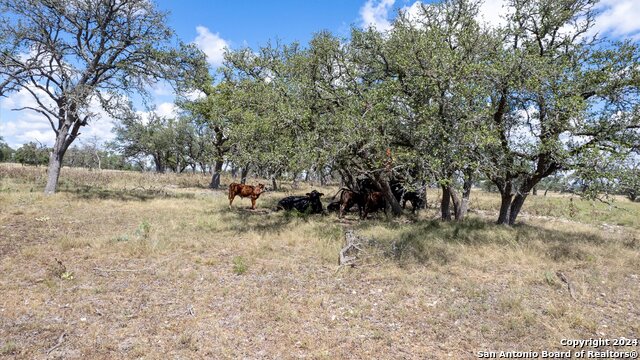 Image 7 of 7 For Tract 11 Tbd S Ranch Road 783