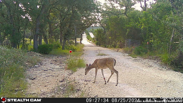 Listing photo id 28 for 5211 Bump Gate