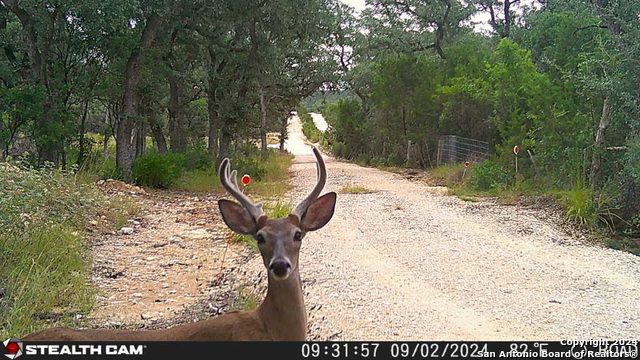 Listing photo id 29 for 5211 Bump Gate