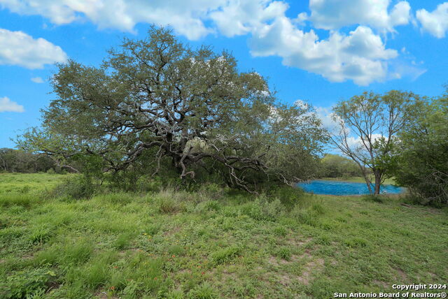 Image 10 of 17 For 0000 County Road 651