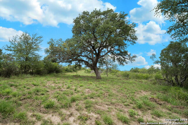 Image 3 of 17 For 0000 County Road 651