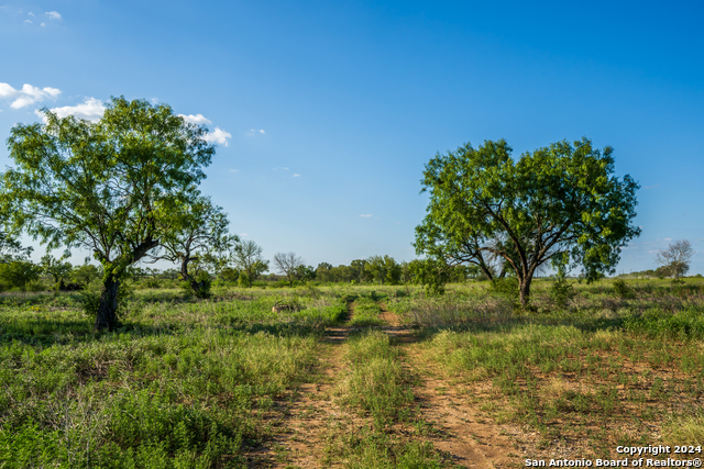 Details for 7081 County Road 301, Sabinal, TX 78881