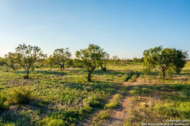 Image 7 of 11 For 7081 County Road 301