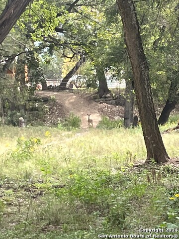 Image 22 of 30 For 143 Taff  