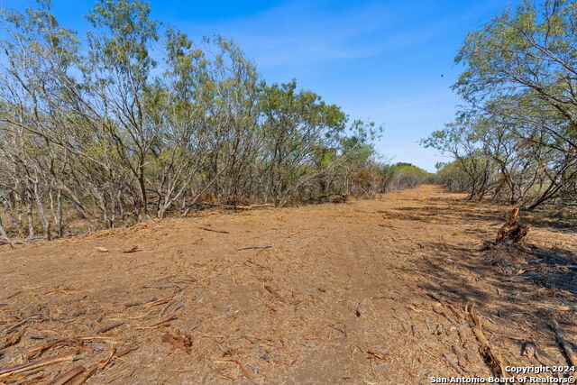 Image 5 of 12 For Lot 7 Tumbleweed Trail