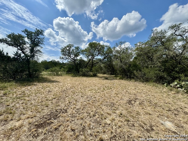 Details for Lot 10 Pr 2535, Mico, TX 78056