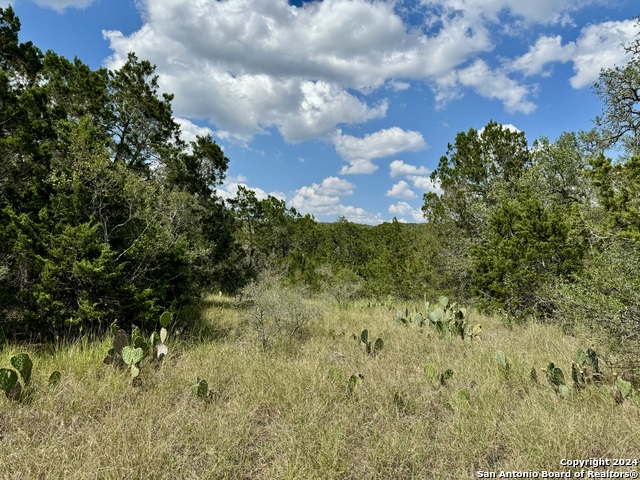 Image 6 of 32 For Lot 10 Pr 2535