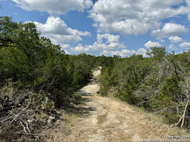 Image 9 of 32 For Lot 10 Pr 2535