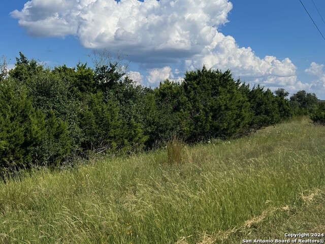 Image 6 of 7 For 311 Bosque Ridge