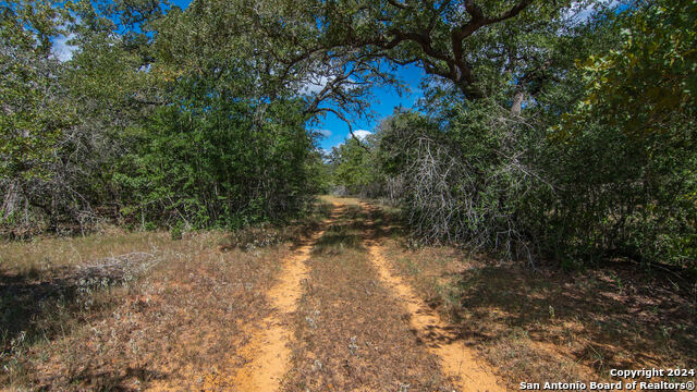 Details for Tbd County Road 434, Stockdale, TX 78155