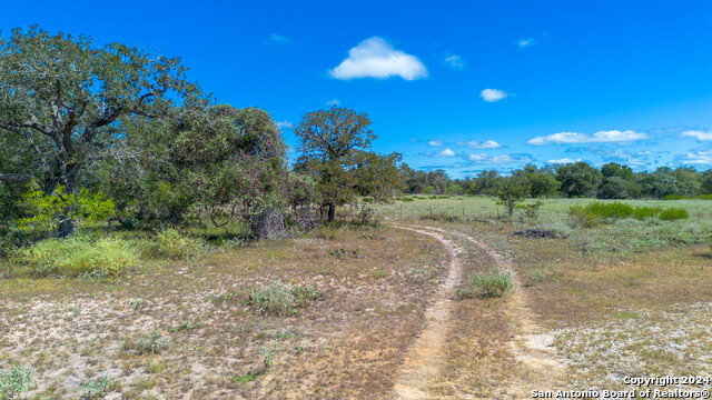 Listing photo id 19 for Tbd County Road 434