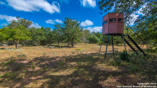 Listing photo id 21 for Tbd County Road 434